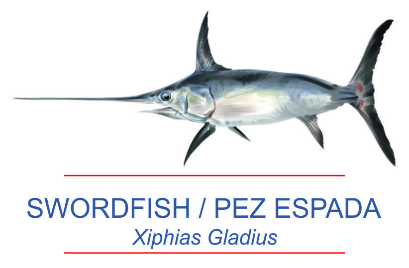 Pez espada Swordfish – Expormanta S. A.